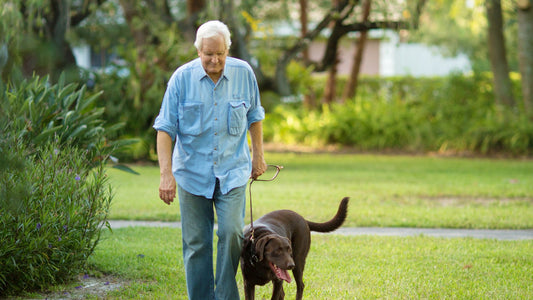 What Geofencing Technology can do for Senior Living